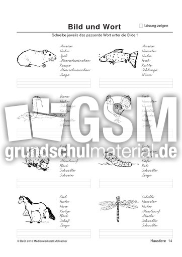 BuW Haustiere14.pdf